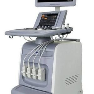 WhatsApp Image 2026-02-20 at 1.26.54 PM