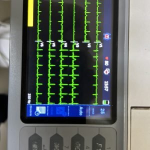 WhatsApp Image 2026-02-20 at 12.36.50 PM